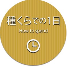 サービス案内のページへ